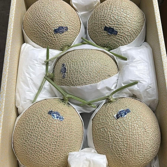 靜岡皇冠青肉蜜瓜