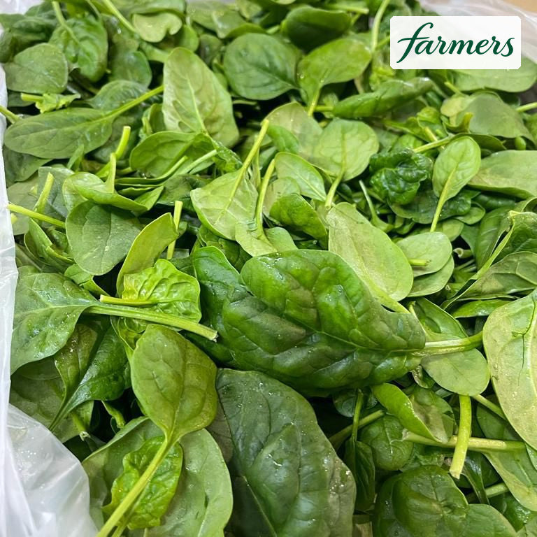 澳洲沙律菠菜
