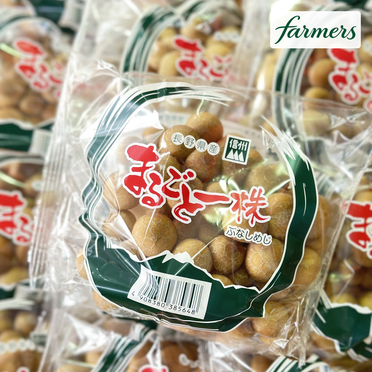 日本本菇