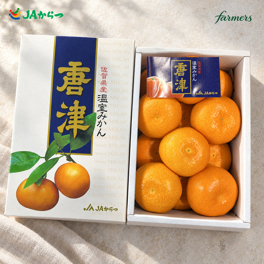 日本蜜柑（禮盒）