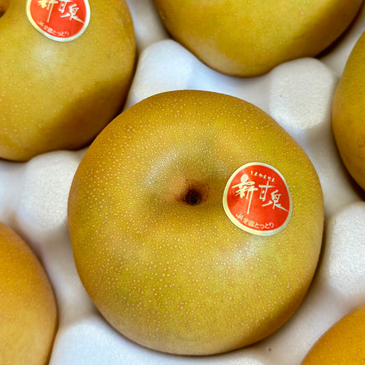 鳥取新甘泉梨