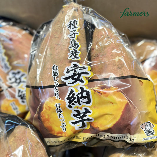 種子島安納芋蕃薯（1磅）實物照片
